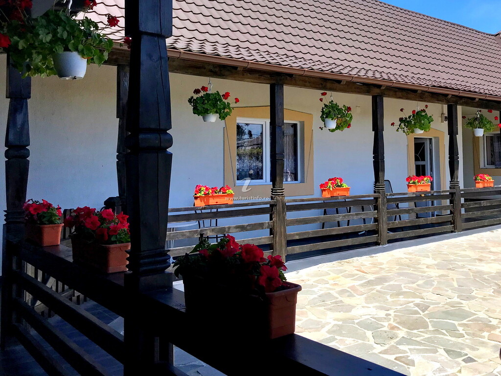 Camere de închiriat La Dory