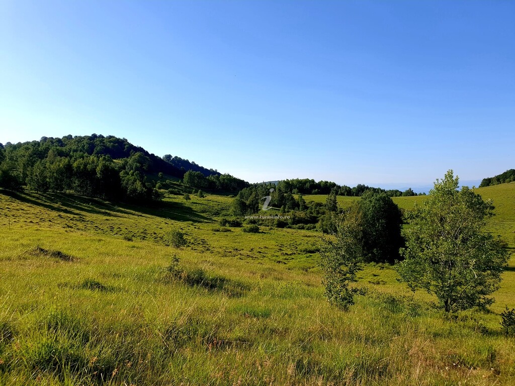 Căsuțele Din Poiană