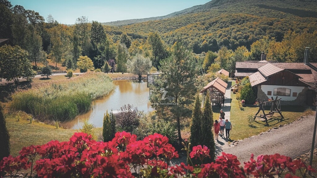 Domeniul Toma