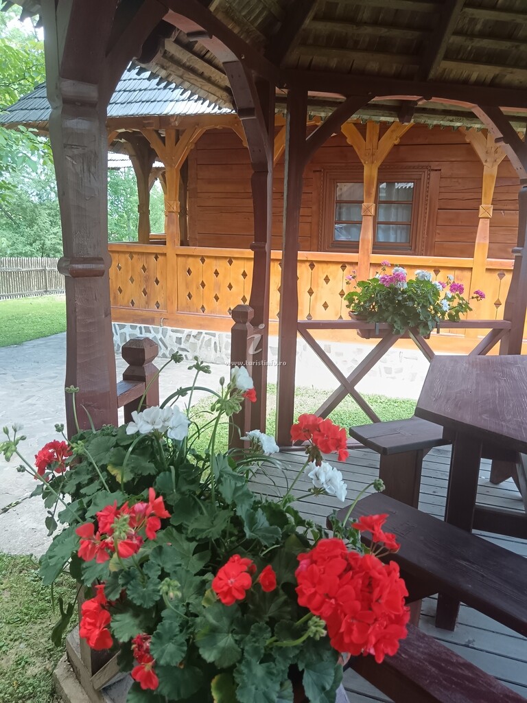 Pensiunea Casa de vacanță Padiș