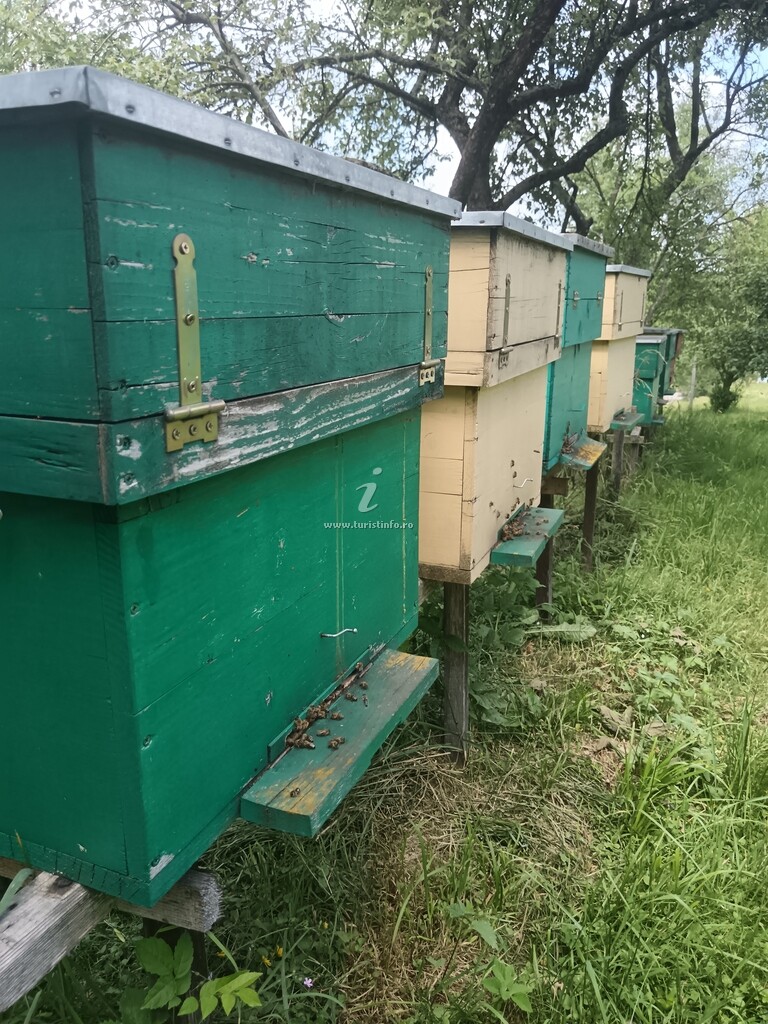 Pensiunea Casa de vacanță Padiș