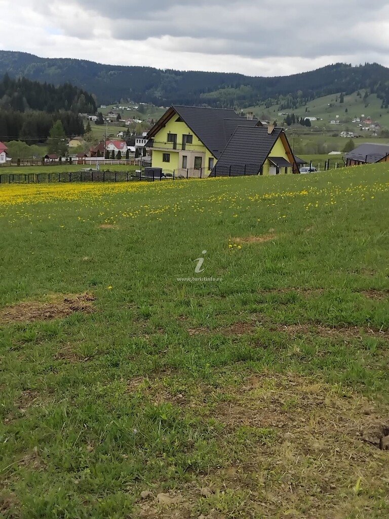 Casa Coșnencuța din Bucovina