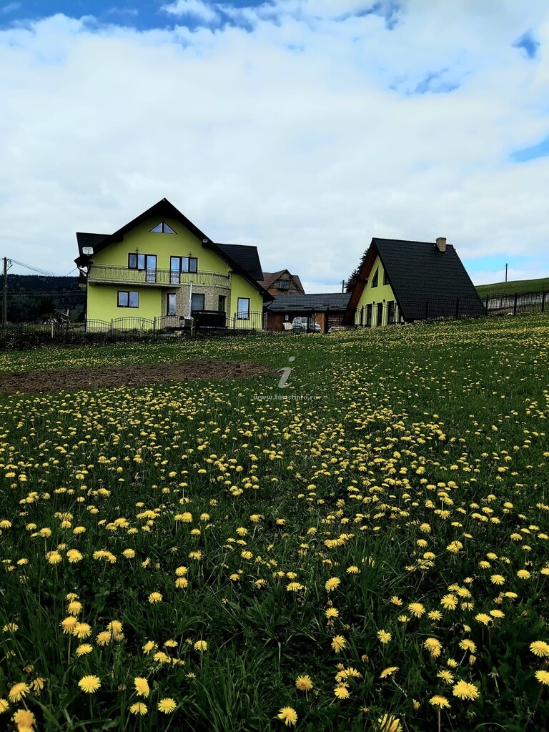 Casa Coșnencuța din Bucovina