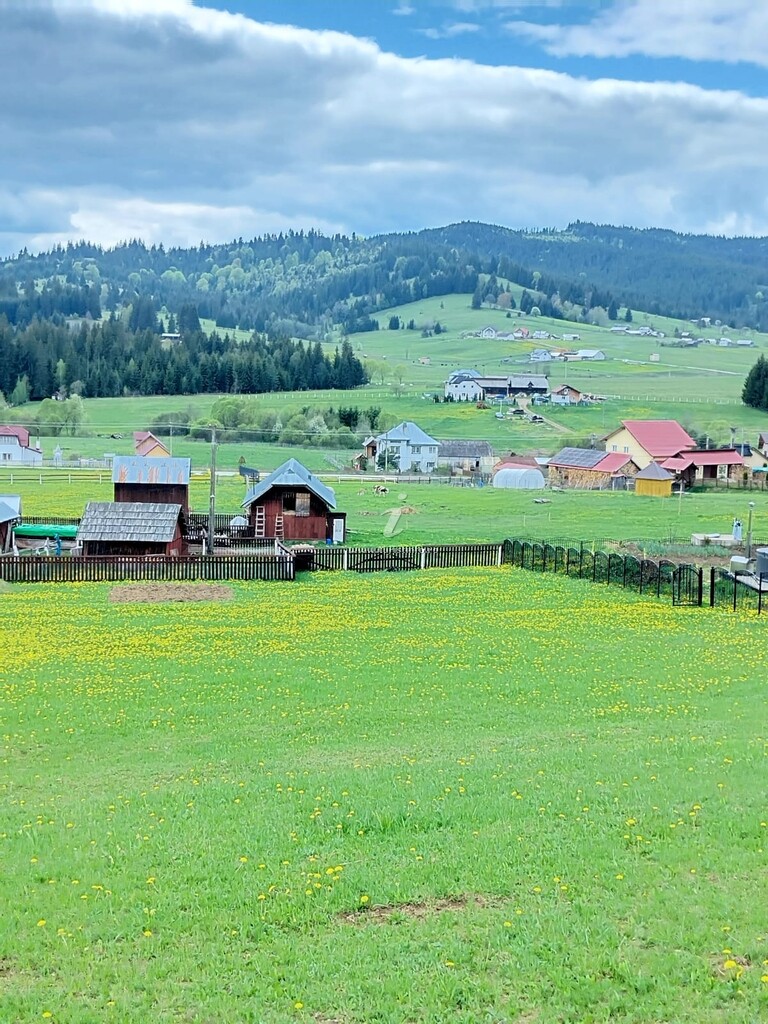 Casa Coșnencuța din Bucovina