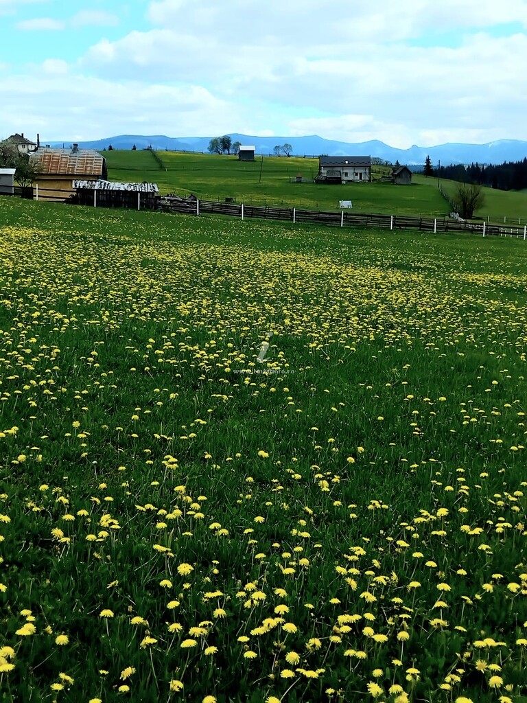 Casa Coșnencuța din Bucovina
