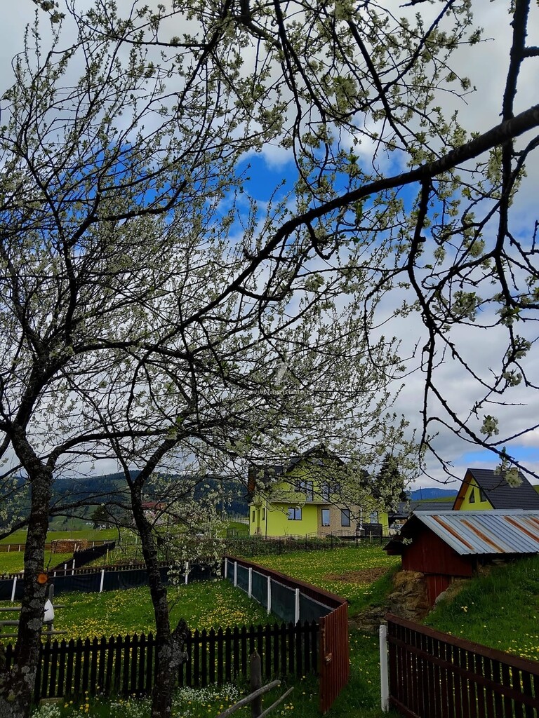 Casa Coșnencuța din Bucovina