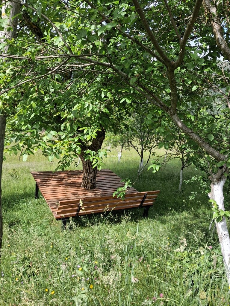 Cabana Mihaela