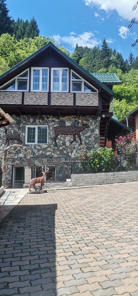 Casa Cerbul