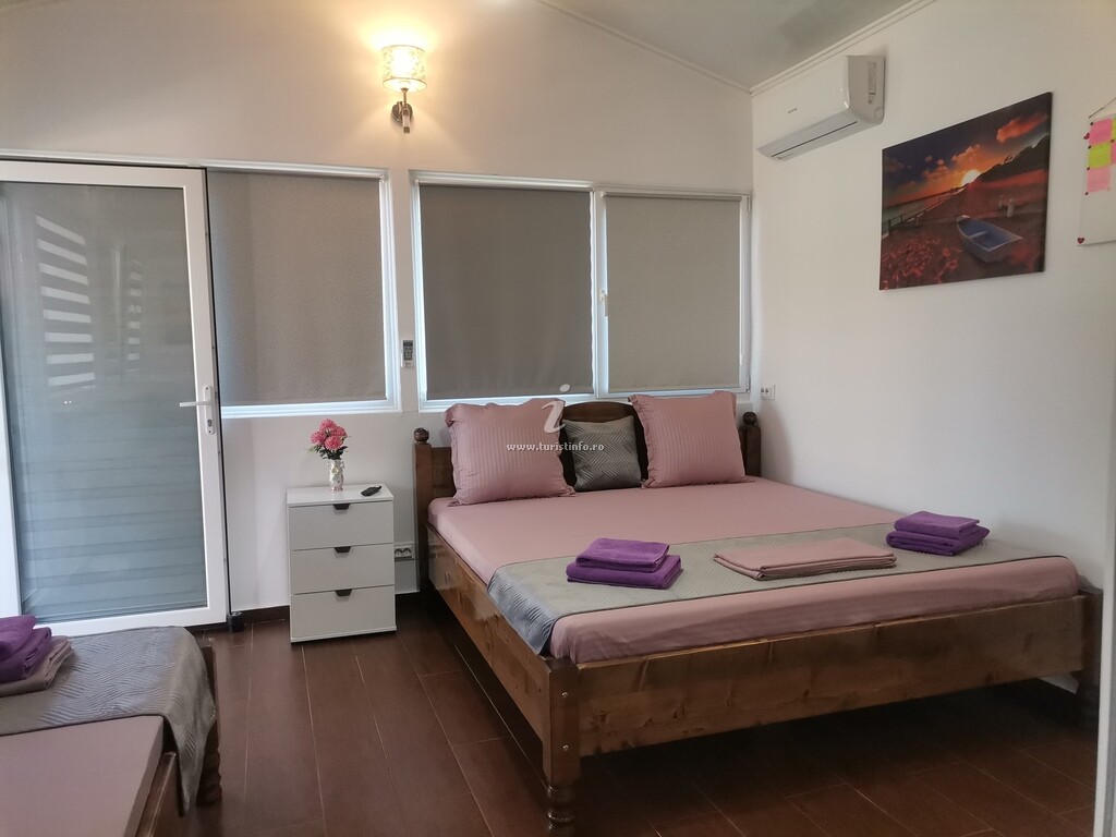 Casa de vacanță Casa Dașoveanu