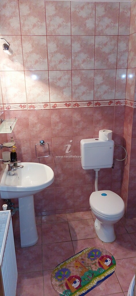 Vila Denisa