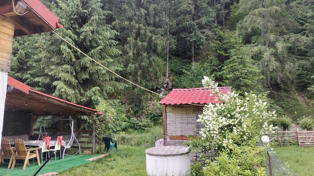Casa Alpine House