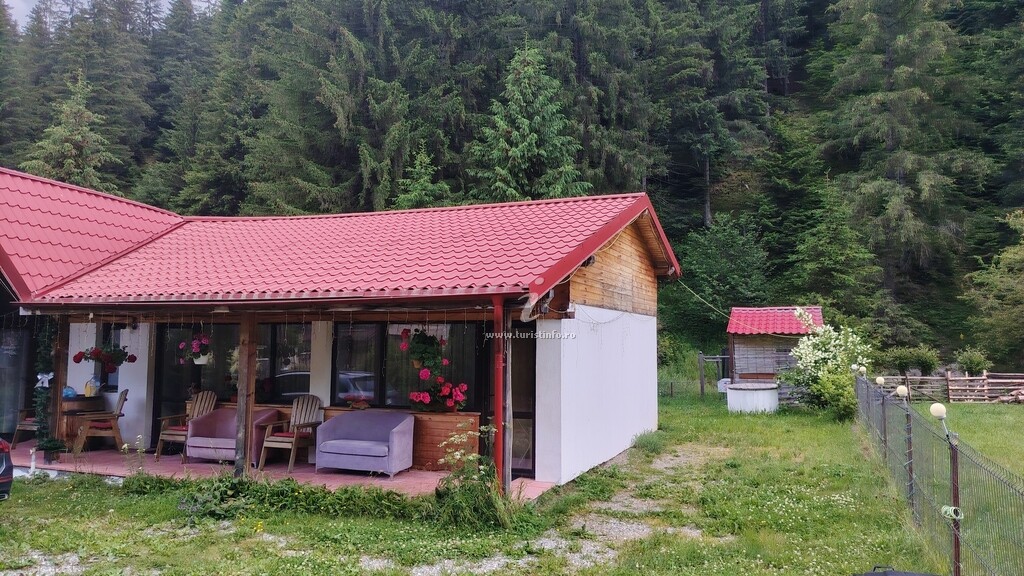Casa Alpine House