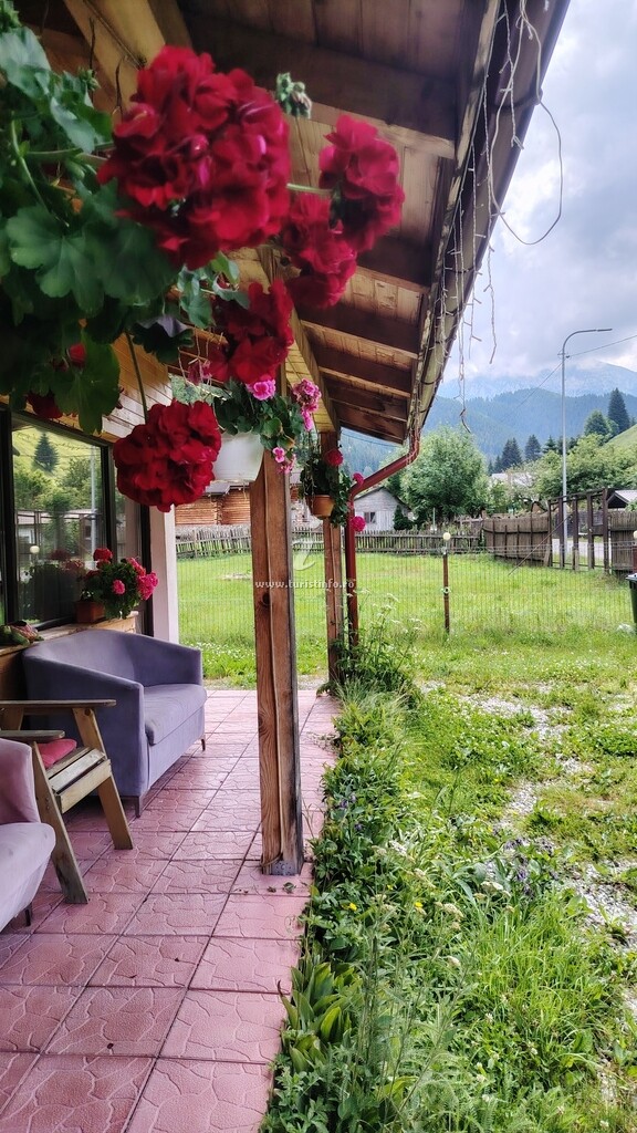 Casa Alpine House