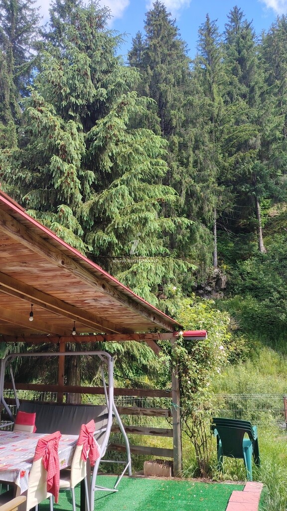 Casa Alpine House