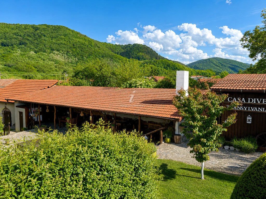 Pensiunea Agroturistică Casa Dives din 1850