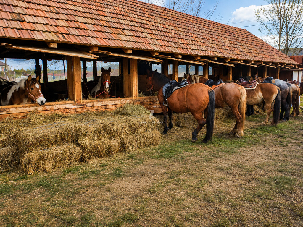 Pensiunea Agroturistică Casa Dives din 1850