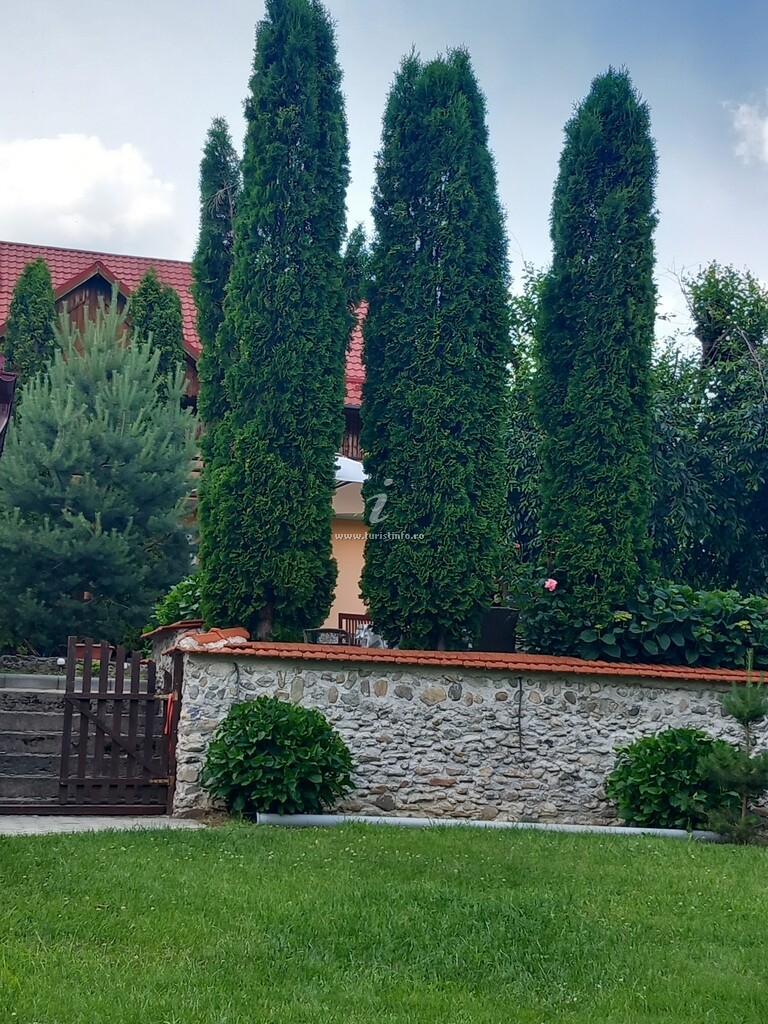 Pensiunea Rapsodia Munților