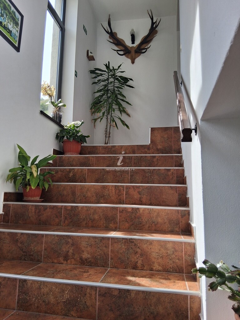 Vila Ardeleană