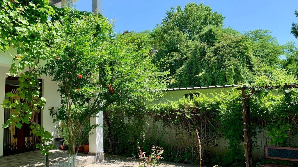Casa Palaghia Polea