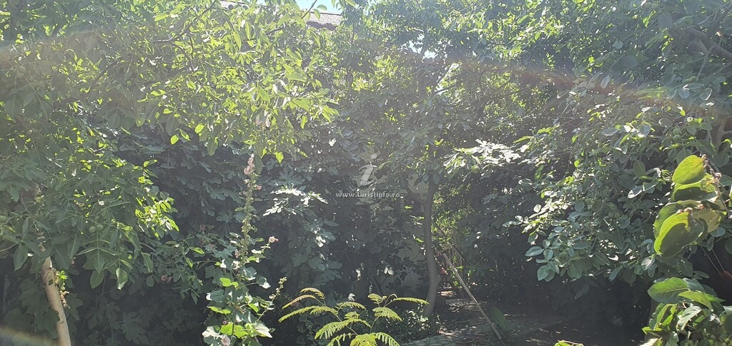 Casa de vacanță Spiritul Deltei