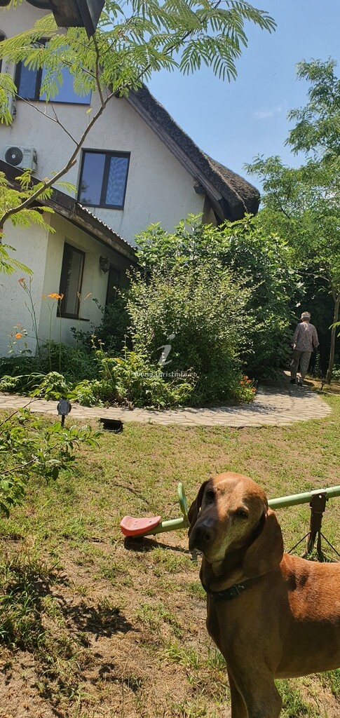 Casa de vacanță Spiritul Deltei