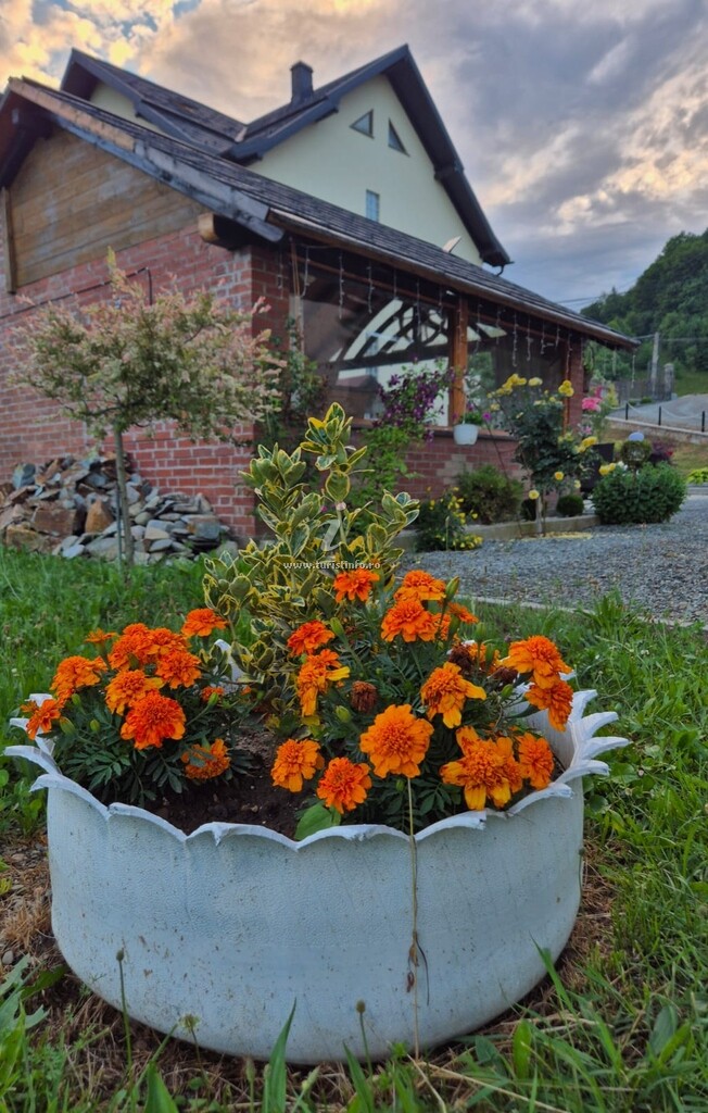 Casa Mary Fluțar