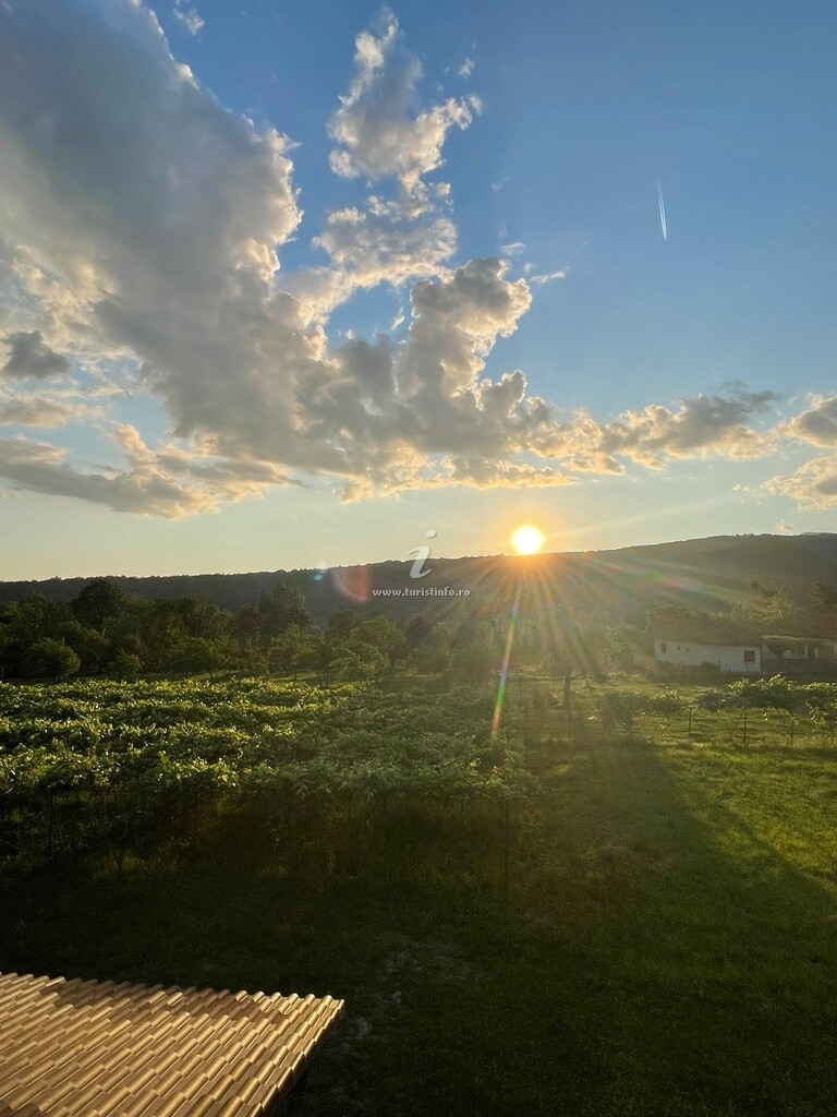 Pensiunea Alpine Grace Retreat