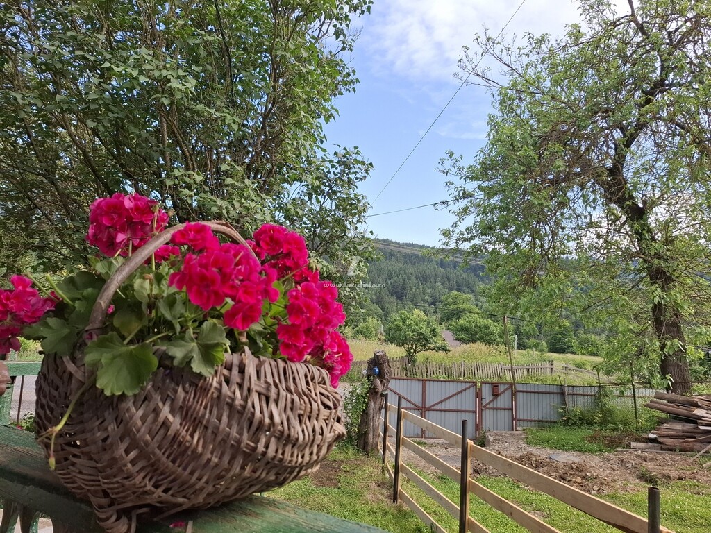 Căsuța cu Prispă