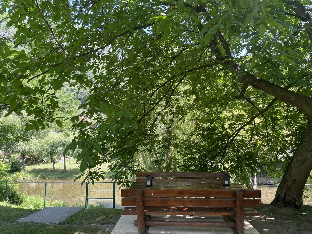Pensiunea Casa Bianca