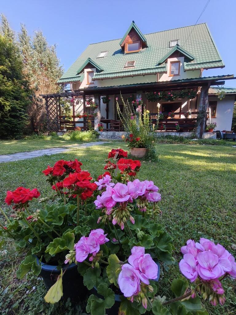Vila Șucu