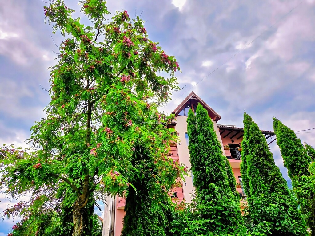 Pensiunea Emma 1