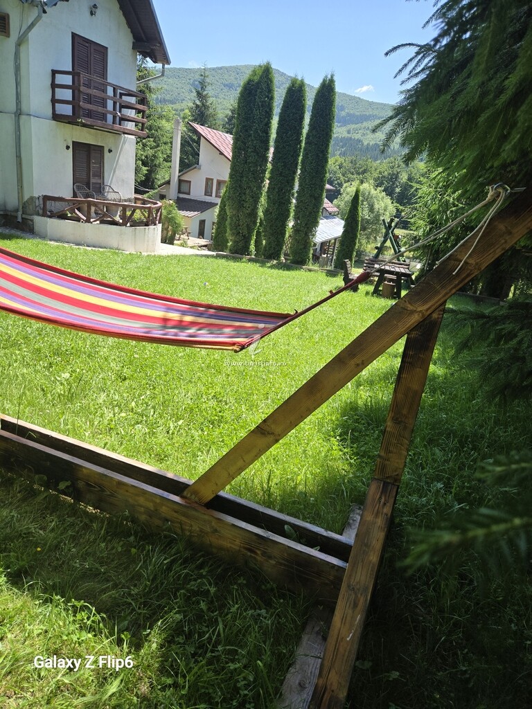 Cabanele Tea