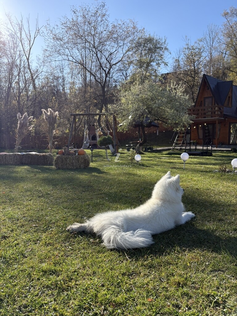 Cabana Kira's Fairytale Cottage