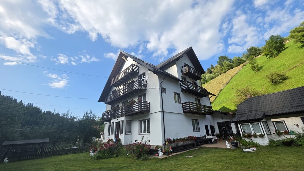 Casa Iulian
