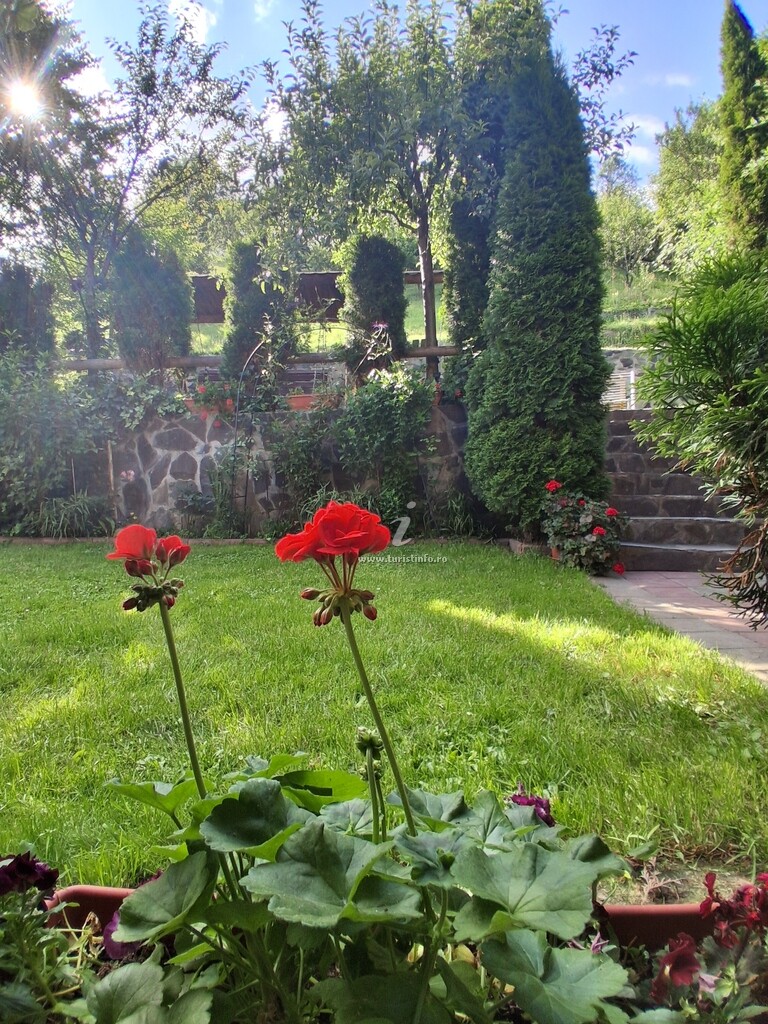 Vila Ardeleană