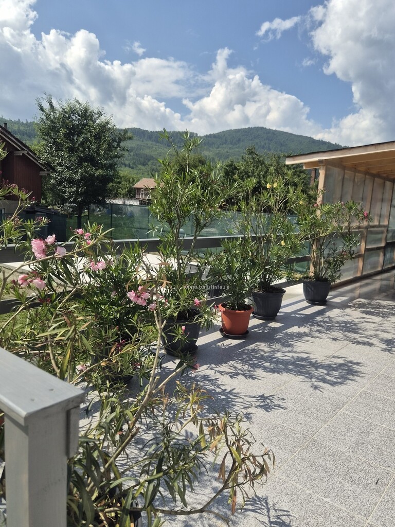 Casa La Rece