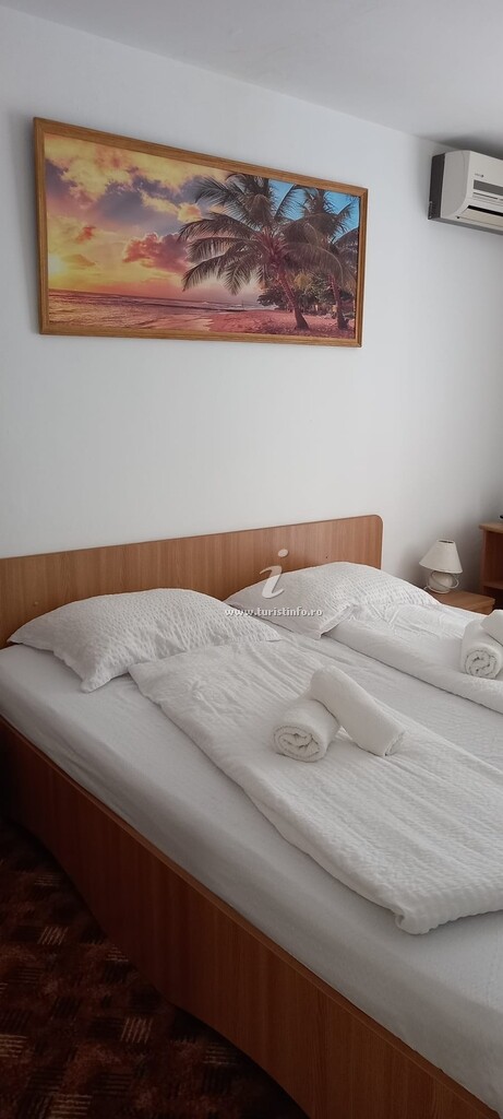 Camere de închiriat Ana Avrig