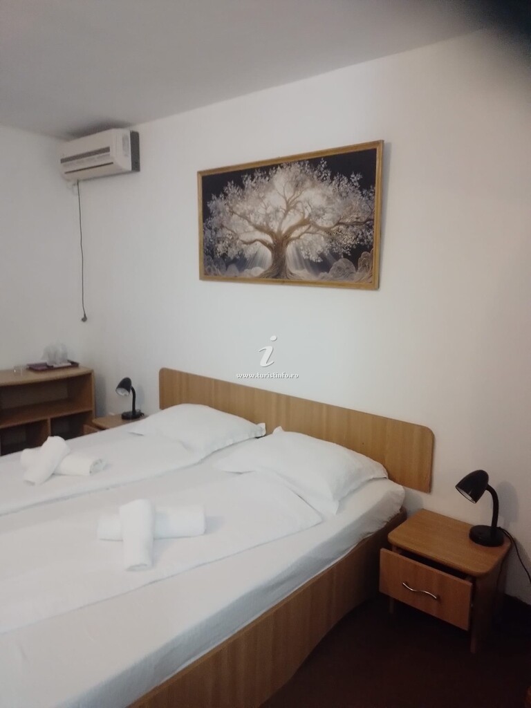 Camere de închiriat Ana Avrig