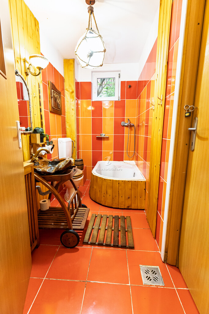 Casa de vacanță Alinka