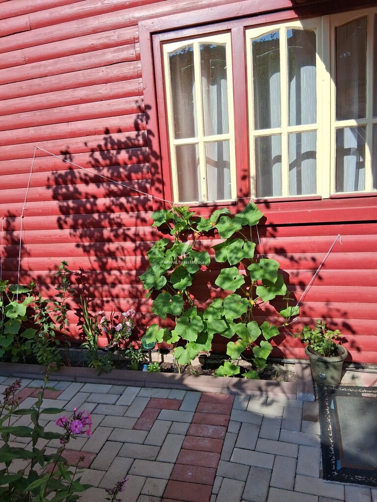 Casa Lav