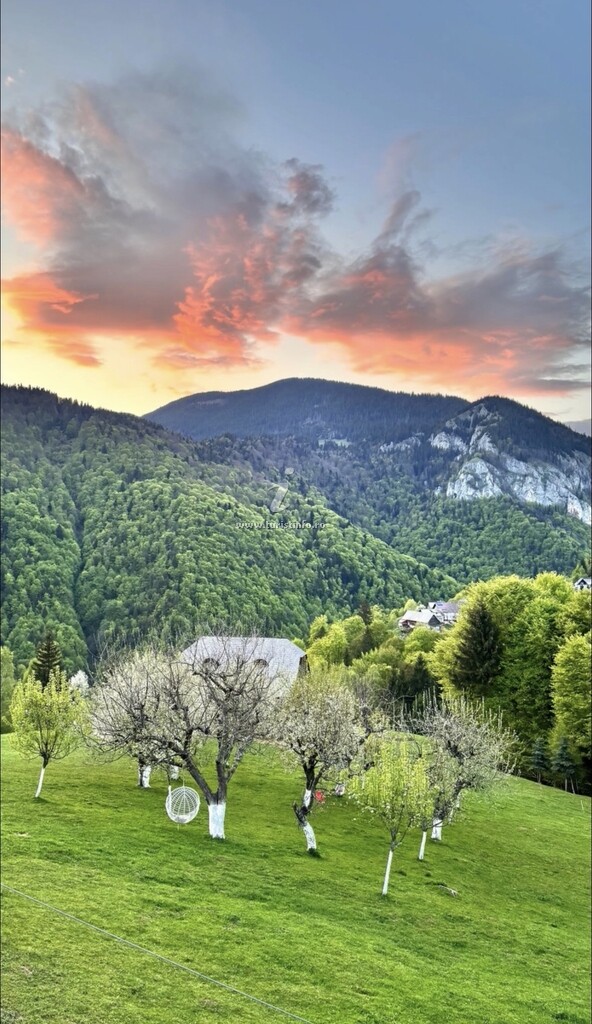 Pensiunea Casa Dobre