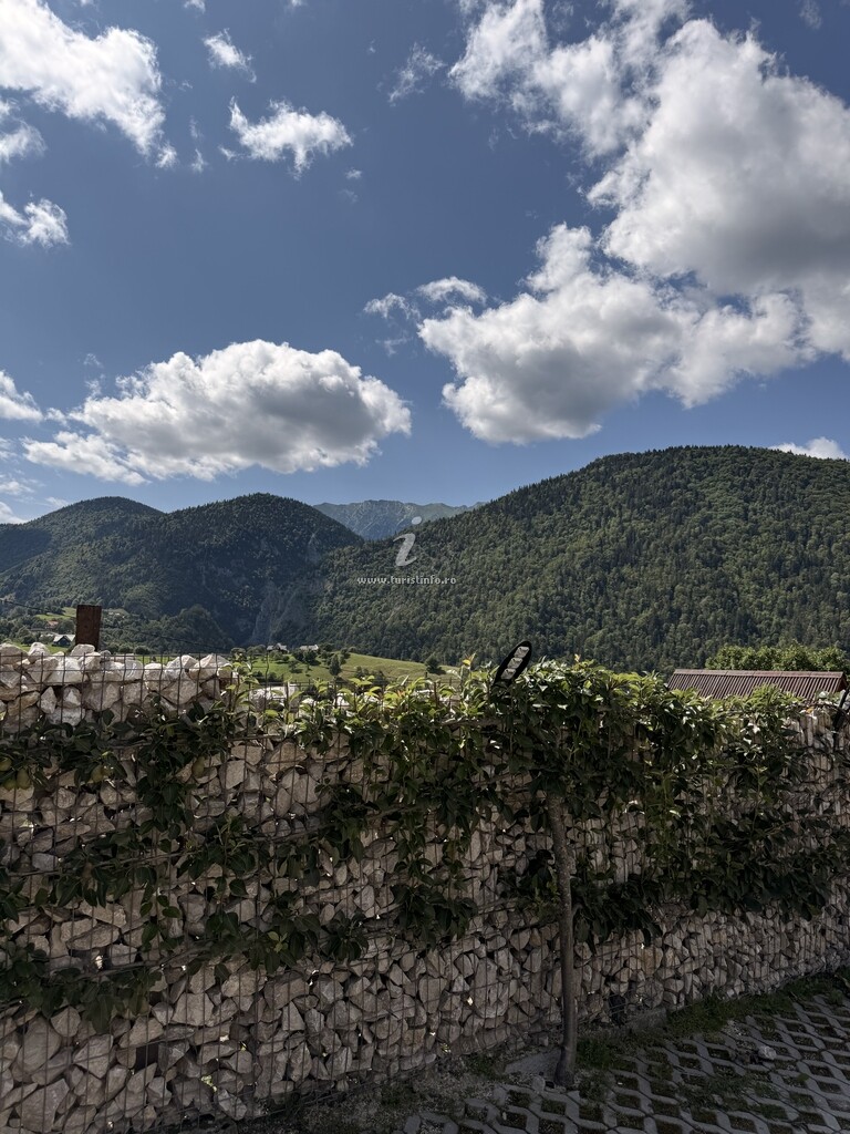Pensiunea Casa Dobre
