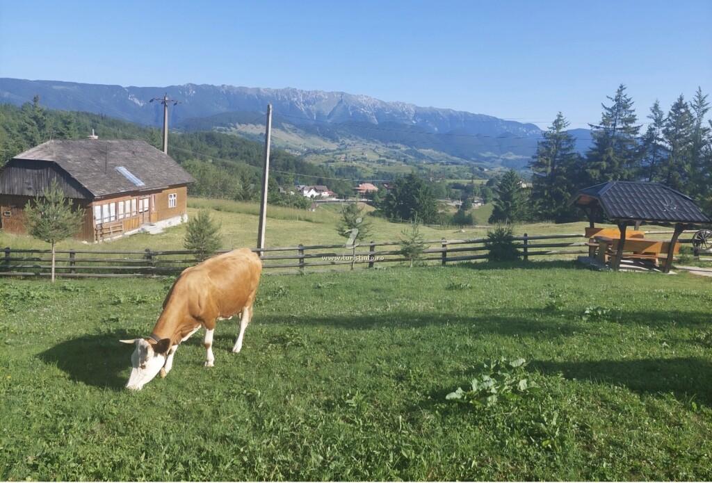 Pensiunea Edera