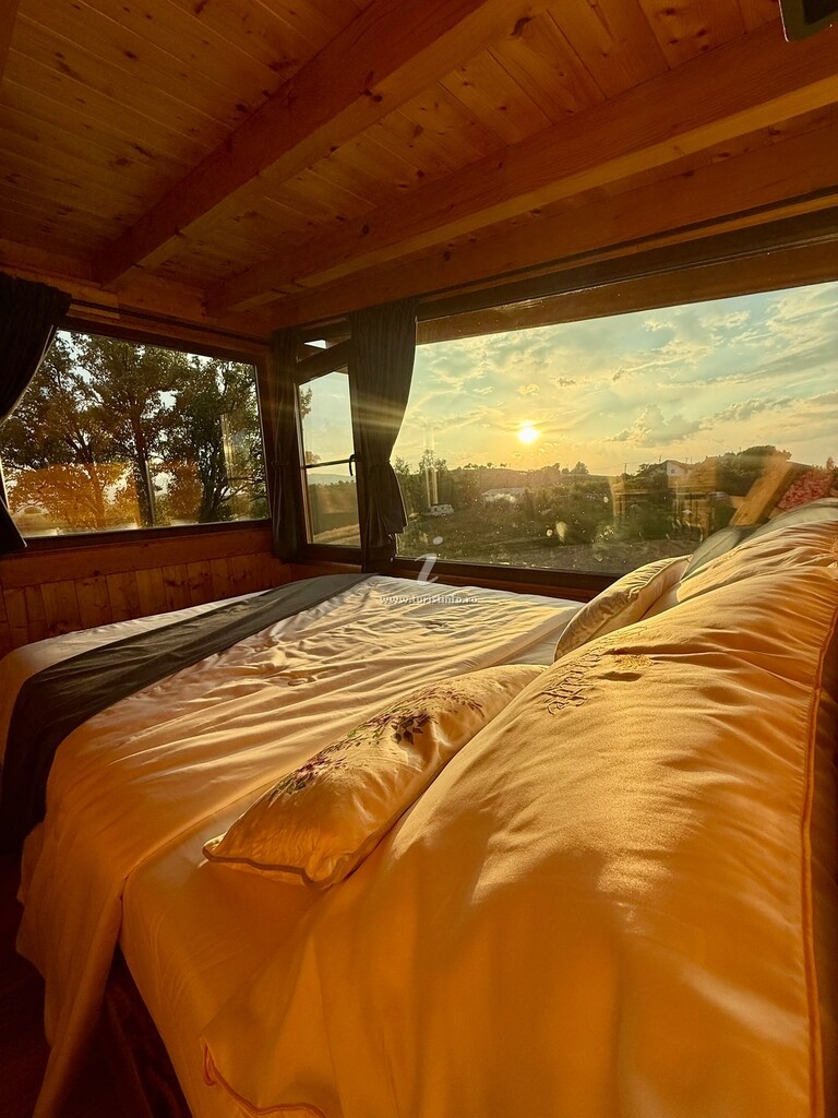 Cabana Morning Star
