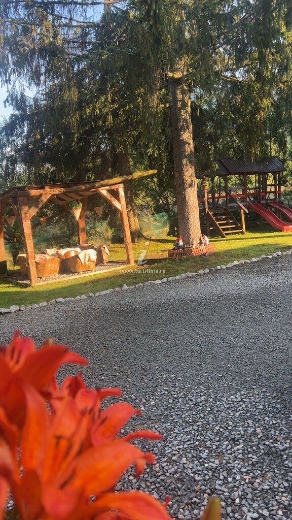Camere de închiriat Raluca