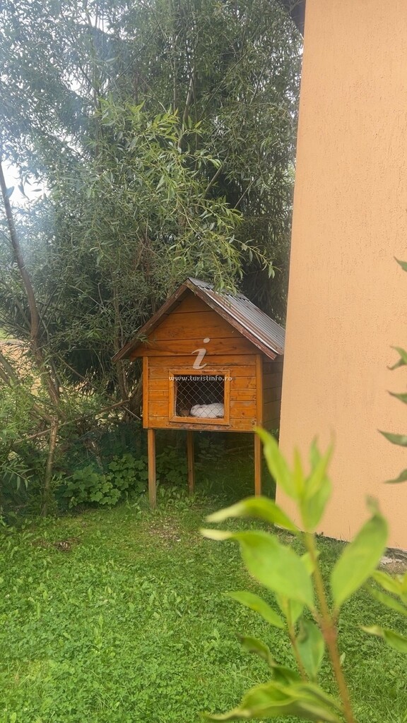 Camere de închiriat Raluca
