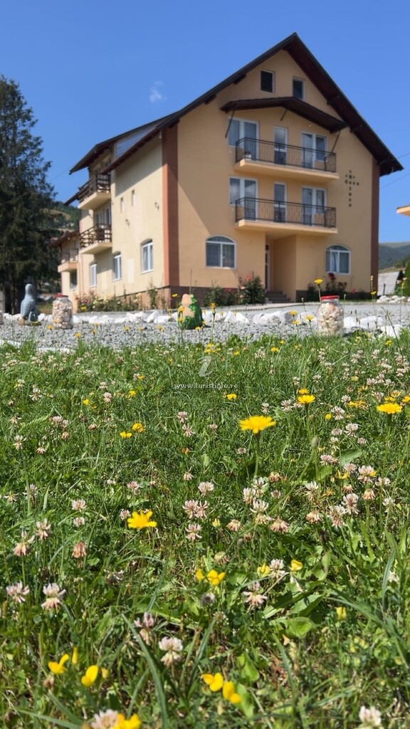 Camere de închiriat Raluca
