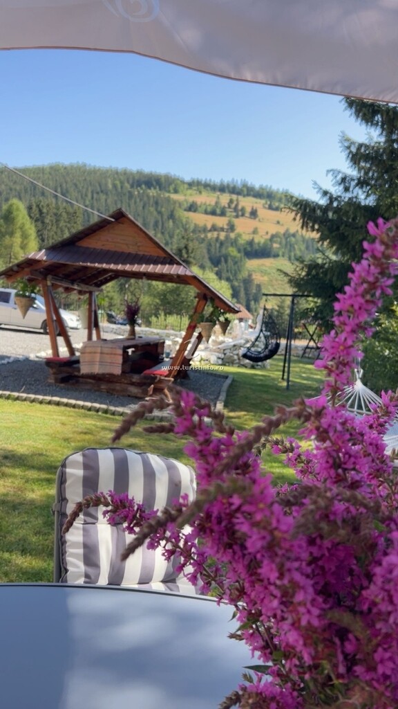 Camere de închiriat Raluca