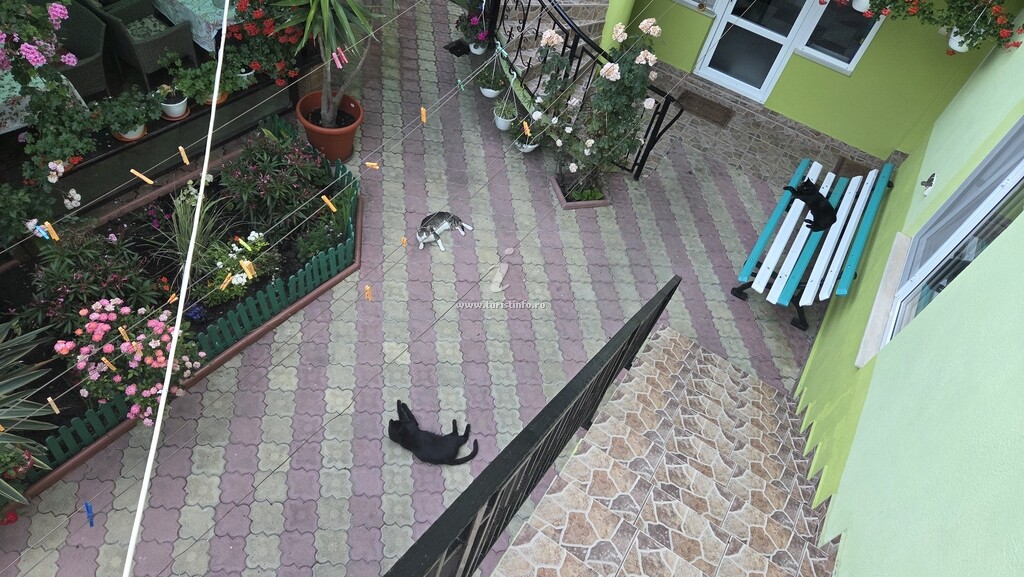 Camere de închiriat Casa Bianca