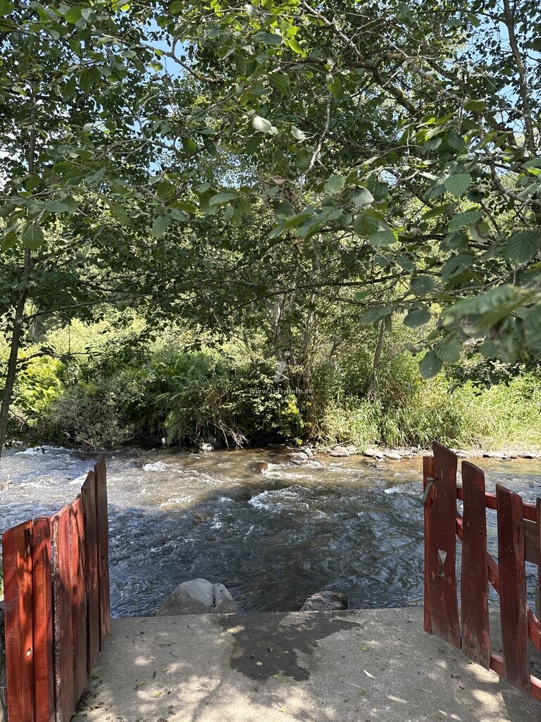 Camere de închiriat Toplița Nature Hub